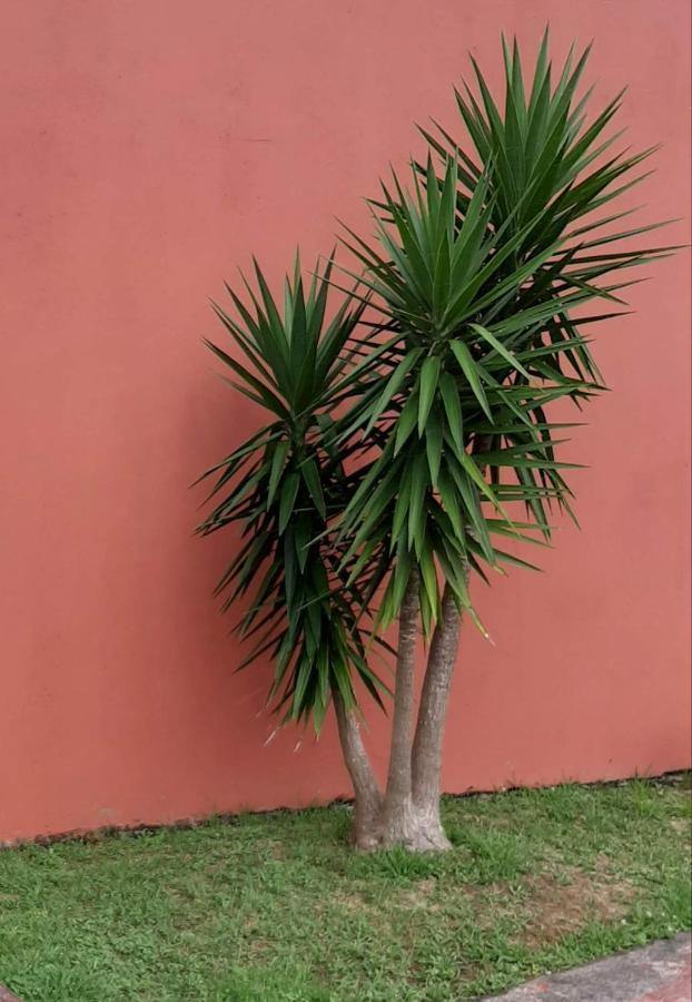 Casa das Yucas - Pátio Apartment Capelas Esterno foto